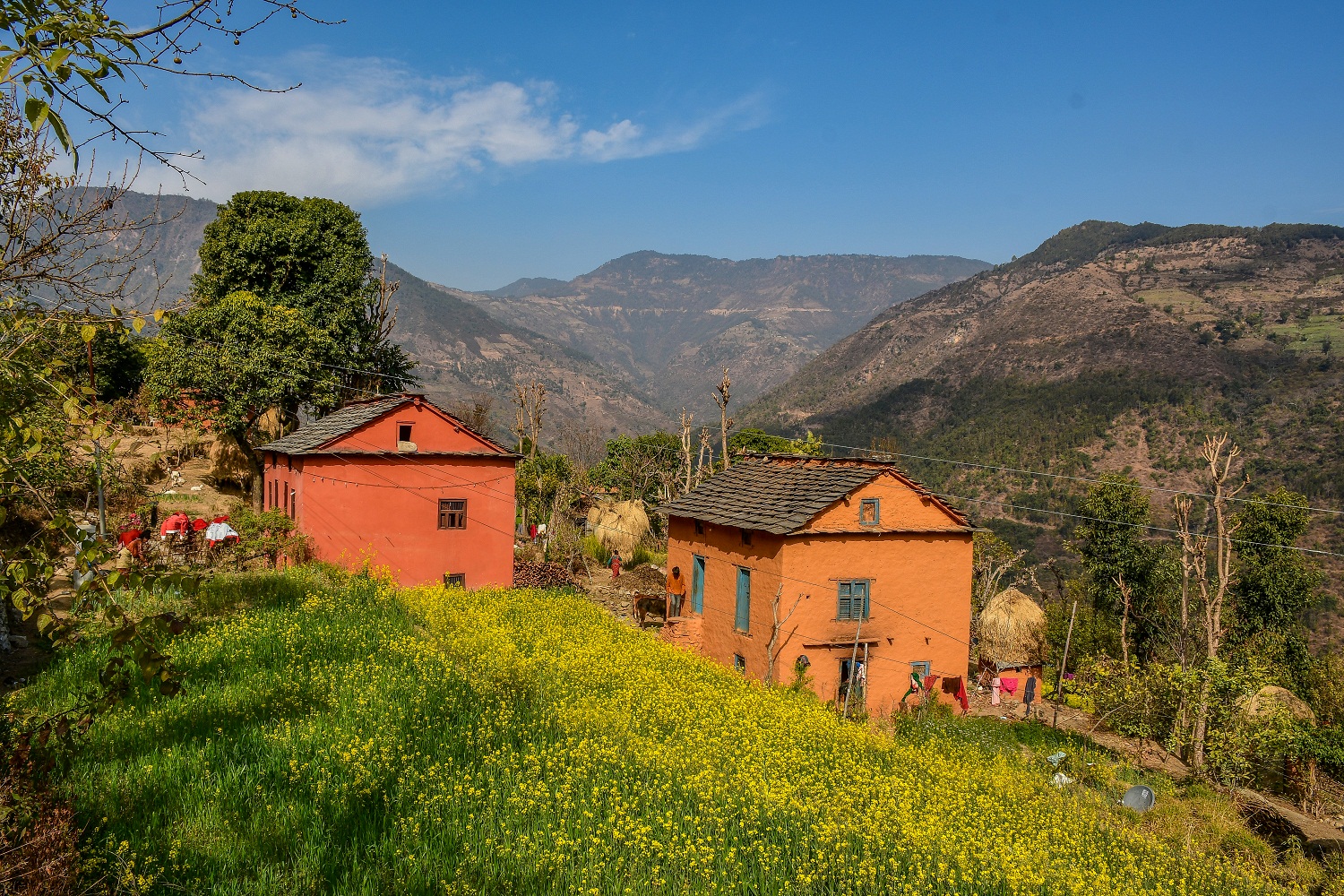 Sangaun village पूर्वीचौकीको साना गाउँ